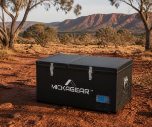 MICKAGEAR Dual Zone Fridge